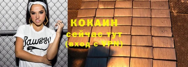 хмурый Алексин