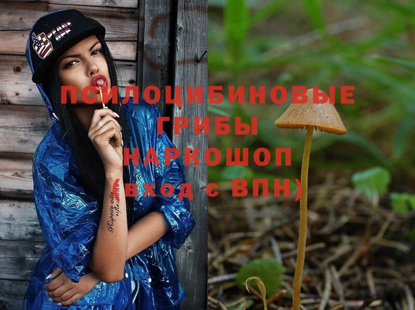 ГАЛЛЮЦИНОГЕННЫЕ ГРИБЫ Армянск