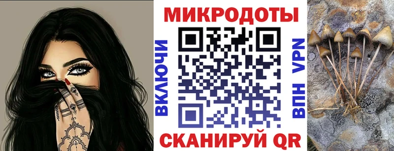 Псилоцибиновые грибы Psilocybe  Нефтекумск 
