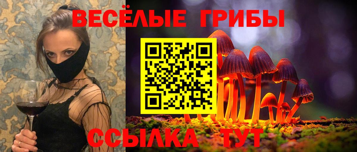 Нефтекумск  Псилоцибиновые грибы Magic Shrooms  даркнет сайт  Вход с VPN 